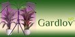 Gardlov 19388 kaina ir informacija | Daigyklos, lempos augalams | pigu.lt