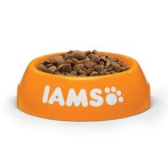 Sausas maistas katėms su vištiena Iams Adult Cat Hairball, 10 kg kaina ir informacija | Sausas maistas katėms | pigu.lt