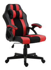 Игровое кресло Aston, черно-красное цена и информация | Офисные кресла | pigu.lt