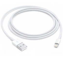 Apple USB to Lightning kaina ir informacija | Laidai telefonams | pigu.lt