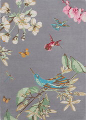 Kilimas Wedgwood Hummingbird Grey 037804 170x240 cm kaina ir informacija | Kilimai | pigu.lt