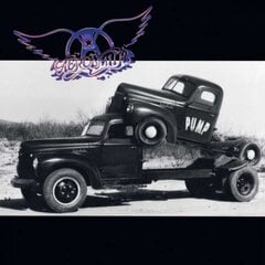 Vinilinė plokštelė Aerosmith „Pump“ kaina ir informacija | Vinilinės plokštelės, CD, DVD | pigu.lt