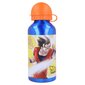 Dragon Ball Z, 400 ml цена и информация | Žaidėjų atributika | pigu.lt