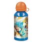 Dragon Ball Z, 400 ml цена и информация | Žaidėjų atributika | pigu.lt