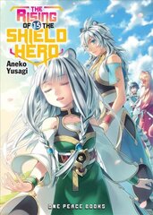 Rising Of The Shield Hero Volume 15: Light Novel kaina ir informacija | Fantastinės, mistinės knygos | pigu.lt