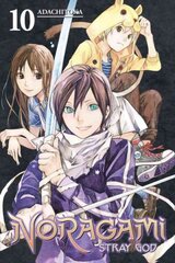 Noragami Volume 10: Stray God, Volume 10 kaina ir informacija | Fantastinės, mistinės knygos | pigu.lt