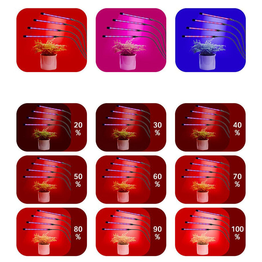 LED lempa augalams - augalams auginti 2 vnt. kaina ir informacija | Daigyklos, lempos augalams | pigu.lt