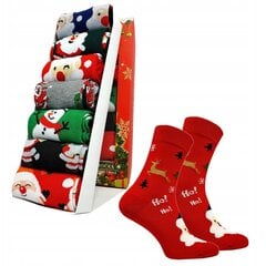 Vyriškos kalėdinės kojinės dėžutėje цена и информация | Мужские носки | pigu.lt
