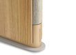 Bang & Olufsen Beosound Emerge Gold Tone kaina ir informacija | Garso kolonėlės | pigu.lt