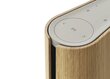 Bang & Olufsen Beosound Emerge Gold Tone цена и информация | Garso kolonėlės | pigu.lt