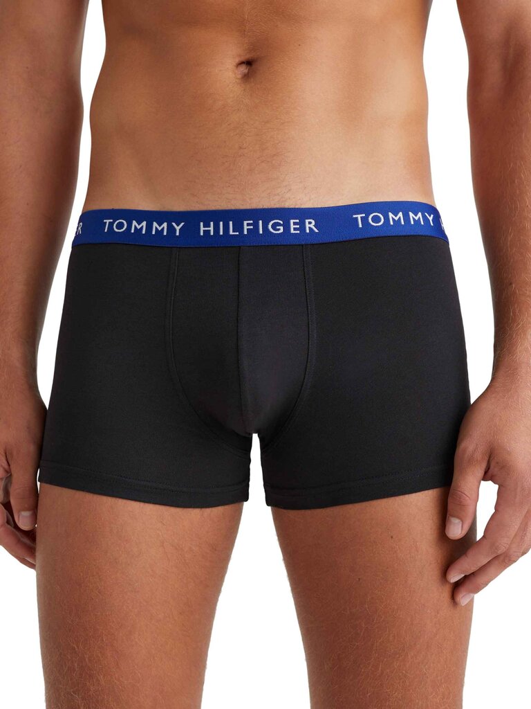 Trumpikės vyrams Tommy Hilfiger 50866, juodos, 3 vnt kaina ir informacija | Trumpikės | pigu.lt