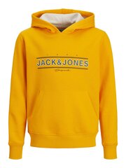 Džemperis berniukams Jack & Jones 12220968*01, geltonas kaina ir informacija | Megztiniai, bluzonai, švarkai berniukams | pigu.lt