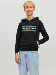 Jack&Jones džemperis vaikams 12220968*02 kaina ir informacija | Megztiniai, bluzonai, švarkai berniukams | pigu.lt