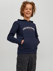 Džemperis berniukams Jack & Jones 1222096803, mėlynas kaina ir informacija | Megztiniai, bluzonai, švarkai berniukams | pigu.lt