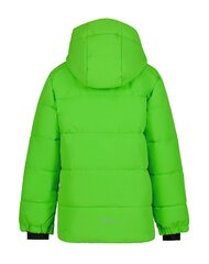 Детская куртка Icepeak Louin 300 г 50035-2*540 6438522711151, зелёная цена и информация | Куртки для мальчиков | pigu.lt