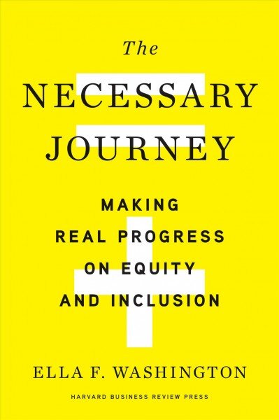 Necessary Journey: Making Real Progress on Equity and Inclusion цена и информация | Ekonomikos knygos | pigu.lt