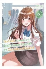 Girl I Saved on the Train Turned Out to Be My Childhood Friend, Vol. 3 (light novel) цена и информация | Книги для подростков и молодежи | pigu.lt