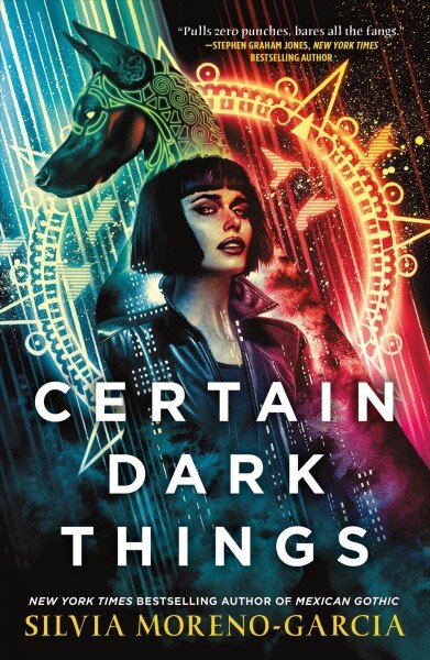 Certain Dark Things kaina ir informacija | Fantastinės, mistinės knygos | pigu.lt