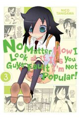 No Matter How I Look at It, It's You Guys' Fault I'm Not Popular!, Vol. 3, v. 3 цена и информация | Фантастика, фэнтези | pigu.lt