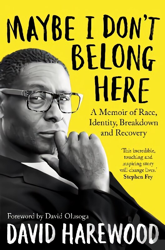 Maybe I Don't Belong Here: A Memoir of Race, Identity, Breakdown and Recovery kaina ir informacija | Biografijos, autobiografijos, memuarai | pigu.lt