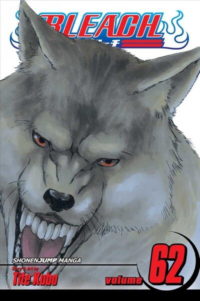 Bleach, Vol. 62: Heart of Wolf, 62 цена и информация | Fantastinės, mistinės knygos | pigu.lt