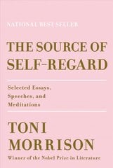 Source of Self-Regard: Selected Essays, Speeches, and Meditations kaina ir informacija | Apsakymai, novelės | pigu.lt