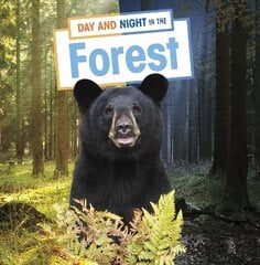 Day and Night in the Forest цена и информация | Книги для подростков и молодежи | pigu.lt