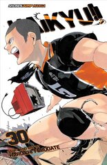 Haikyu!!, Vol. 30: Broken Heart цена и информация | Fantastinės, mistinės knygos | pigu.lt