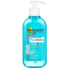 Очищающий гель Garnier Pure Active, 200 мл цена и информация | Garnier Для ухода за лицом | pigu.lt