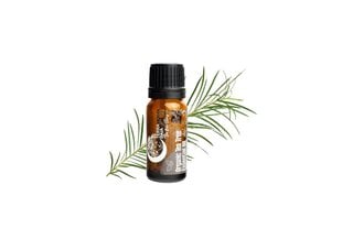 Ekologiškas eterinis arbatmedžio aliejus Terra Gaia, 10 ml цена и информация | Эфирные, косметические масла, гидролаты | pigu.lt