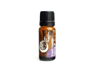 Ekologiškas eterinis levandų aliejus Terra Gaia, 10 ml цена и информация | Эфирные, косметические масла, гидролаты | pigu.lt