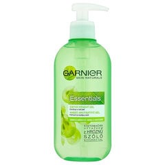 Гель для умывания Garnier Essentials Cleansing Foaming Gel, 200 мл цена и информация | Garnier Для ухода за лицом | pigu.lt