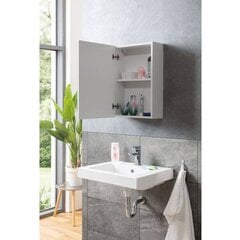Шкафчик для ванной комнаты Aatrium Solo 2 2730, белый цена и информация | Шкафчики для ванной | pigu.lt