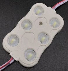 LED модуль 3.0Вт, 6000-6500K, белый цена и информация | Монтируемые светильники, светодиодные панели | pigu.lt