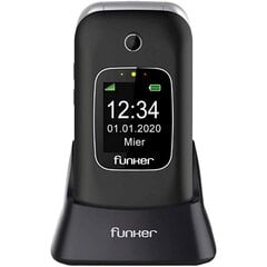 Мобильный телефон для пожилых людей Funker C250 Серый цена и информация | Мобильные телефоны | pigu.lt