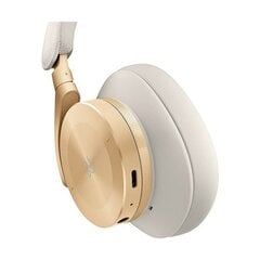 Bang & Olufsen Beoplay H95 цена и информация | Теплая повязка на уши, черная | pigu.lt