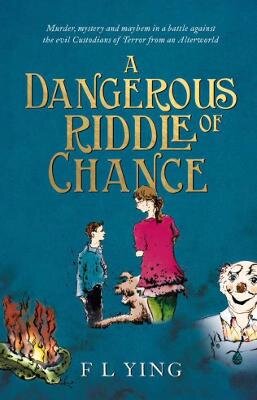 Dangerous Riddle of Chance цена и информация | Knygos paaugliams ir jaunimui | pigu.lt
