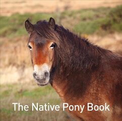 Native Pony Book kaina ir informacija | Knygos paaugliams ir jaunimui | pigu.lt