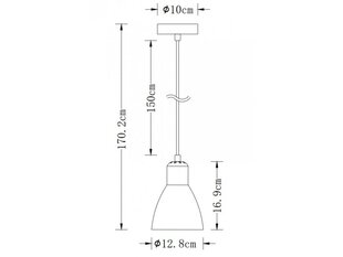 Подвесной светильник Etore L, 12,8 см, черный 2072 цена и информация | Подвесной светильник | pigu.lt