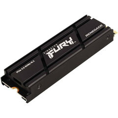 Kingston Fury Renegade, 500 GB M.2 цена и информация | Внутренние жёсткие диски (HDD, SSD, Hybrid) | pigu.lt