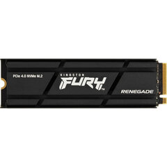 Kingston Fury Renegade, 500 GB M.2 цена и информация | Внутренние жёсткие диски (HDD, SSD, Hybrid) | pigu.lt