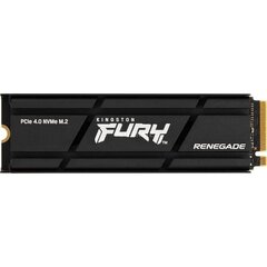 Kingston FURY Renegade, 1TB цена и информация | Внутренние жёсткие диски (HDD, SSD, Hybrid) | pigu.lt