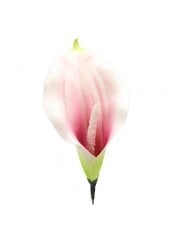Dirbtinė gėlė kalijos žiedas, rausvas, 5 vnt. цена и информация | Искусственные цветы | pigu.lt