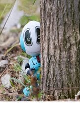Говорящий робот цена и информация | Развивающие игрушки | pigu.lt