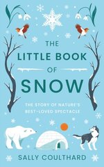 Little Book of Snow kaina ir informacija | Apsakymai, novelės | pigu.lt