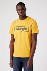 Marškinėliai vyrams Wrangler kaina ir informacija | Vyriški marškinėliai | pigu.lt