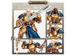 Figūrėlių rinkinys Stormcast Eternals: Vanquishers, 172 dalių kaina ir informacija | Žaislai berniukams | pigu.lt