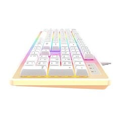 Havit KB876L RGB цена и информация | Клавиатуры | pigu.lt