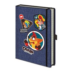 Записная книжка Crash Bandicoot 4 цена и информация | Тетради и бумажные товары | pigu.lt