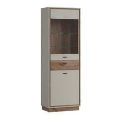 Showcase RIVERO 68x40xH201cm, oak/grey цена и информация | Витрины, серванты | pigu.lt